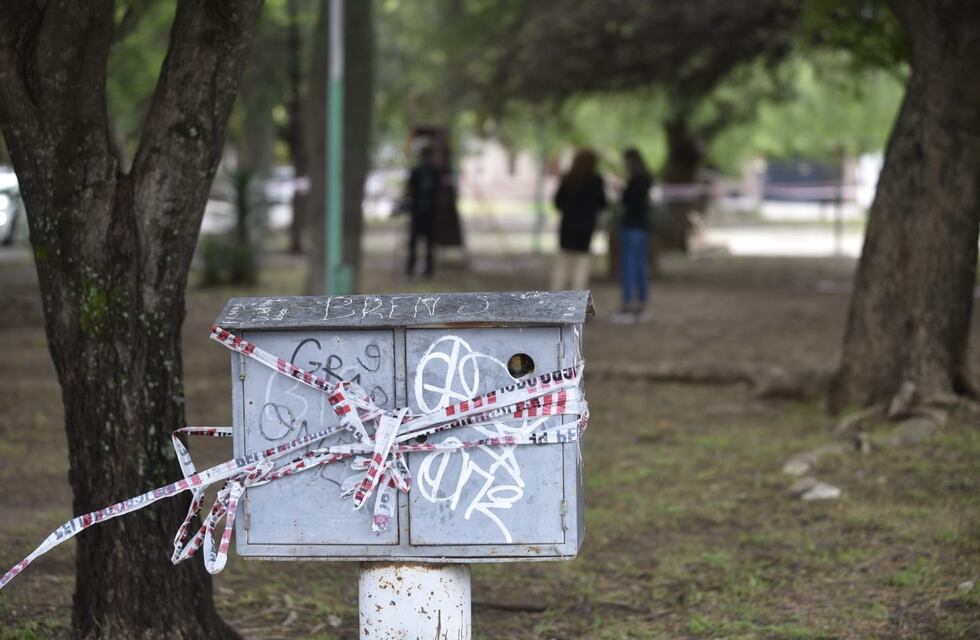 Caso Luciano Aranda: la oposición pide la emergencia eléctrica