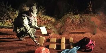 Incautan marihuana oculta en una zona boscosa en Puerto Esperanza.