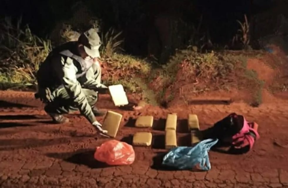 Incautan marihuana oculta en una zona boscosa en Puerto Esperanza