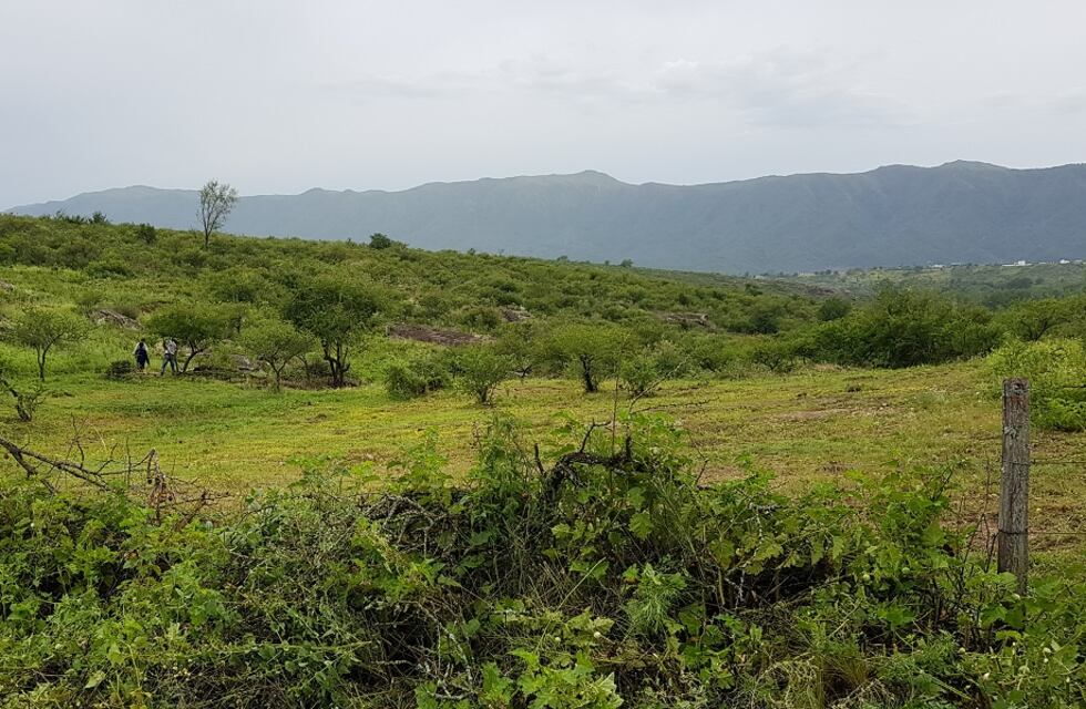 Subastarán unos cinco terrenos en zonas turísticas de Córdoba