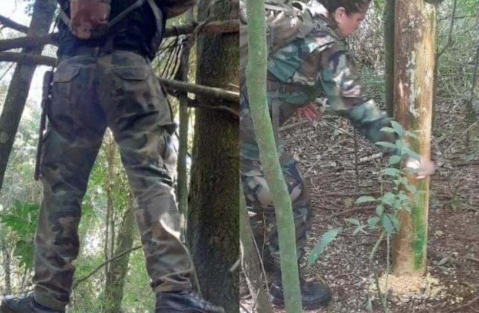 Comandante Andresito: hallan rastros de cazadores furtivos en zona de reserva