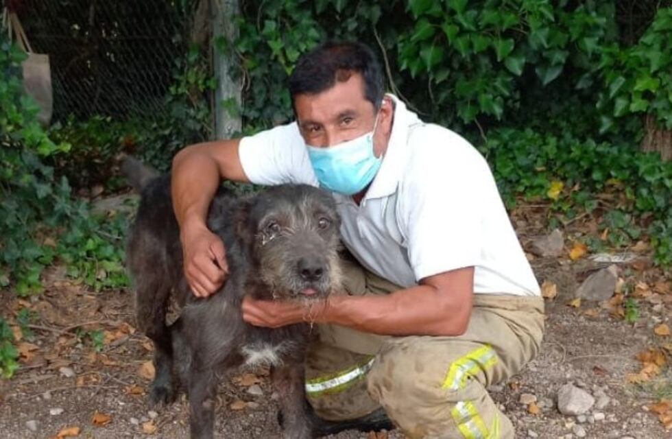 Rescataron a un perrito que quedó atrapado en un derrumbre en La Cumbre