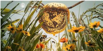 En este día de reflexión y conciencia debemos revisar nuestros hábitos, ser responsable con las acciones que elegimos. Podemos causar un impacto si hacemos un cambio desde lo más pequeño.