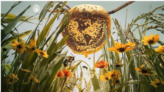 En este día de reflexión y conciencia debemos revisar nuestros hábitos, ser responsable con las acciones que elegimos. Podemos causar un impacto si hacemos un cambio desde lo más pequeño.