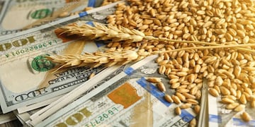 El valor del dólar exportador pasará de $ 508,93 a $ 613,88, con una mejora del 30,9%. Foto: Los Andes