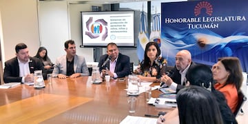 Abogados, psicólogos y trabajadores sociales aportaron propuestas para reforzar derechos infantiles.