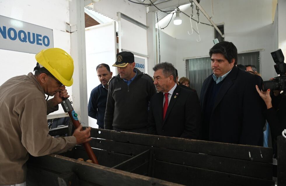 Quedó inaugurada la única la sala de faena de ovinos habilitada en Entre Ríos