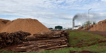 Frenada por falta de fondos: la planta de biomasa de la CAUL en Misiones sigue sin poder operar.