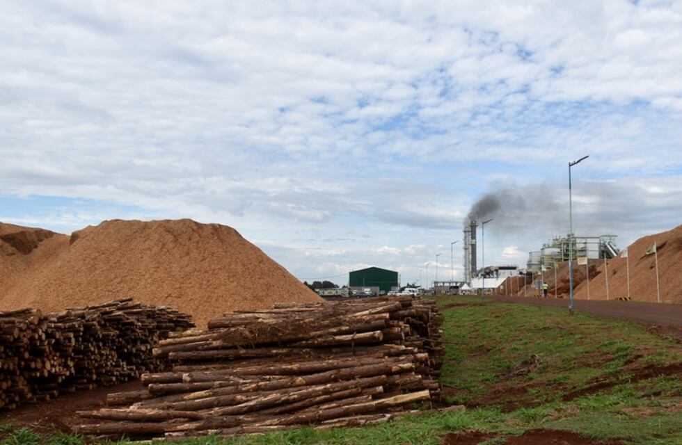 Frenada por falta de fondos: la planta de biomasa de la CAUL en Misiones sigue sin poder operar