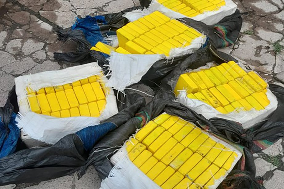 La Justicia Federal de Tucumán procesa con prisión preventiva a dos personas acusadas de organizar el transporte de 155 kilos de cocaína. El cuantioso cargamento llevaba una marca con forma de delfín, asociada a organizaciones narcocriminales.