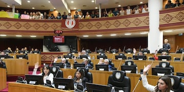 La creación del Colegio de Acompañantes Terapéuticos