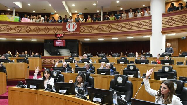 La  creación del Colegio de Acompañantes Terapéuticos