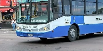 Un chofer de la línea 405 fue agredido en grupo.