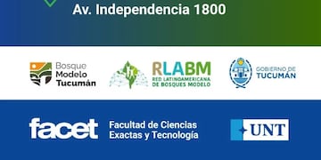 Expertos internacionales analizarán el rol de la tecnología en la conservación de bosques.