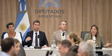 La diputada Silvia Lospennato (PRO) defendió en comisiones la Ficha Limpia (Foto: HCDN)