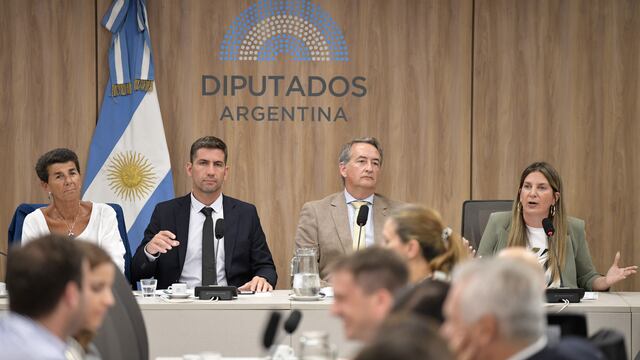 La diputada Silvia Lospennato (PRO) defendió en comisiones la Ficha Limpia (Foto: HCDN)
