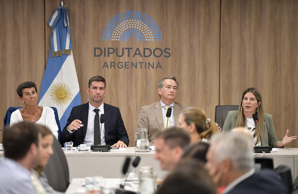 Tras el triunfo en Diputados, el oficialismo convocó a tratar la Ficha Limpia el próximo miércoles