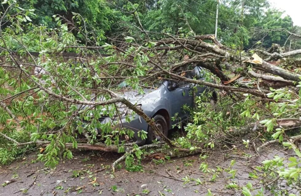 Un herido leve tras la caída de un árbol sobre un vehículo y una moto en Puerto Iguazú
