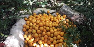 El menor tiene 17 años.