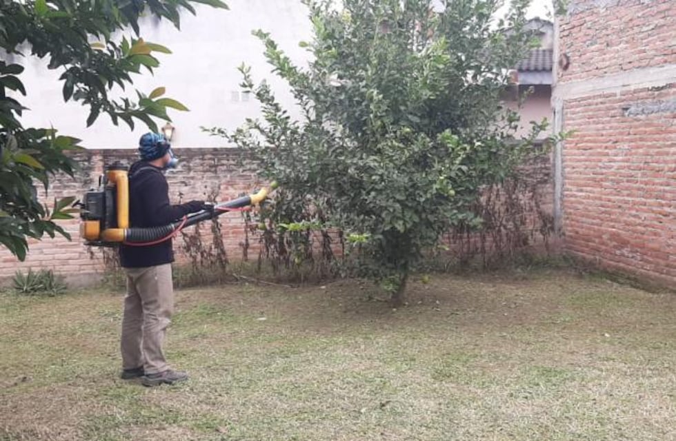 Continúan los operativos de control del Dengue