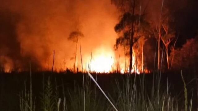 Varias dotaciones de bomberos extinguieron focos en Azara y Corpus.