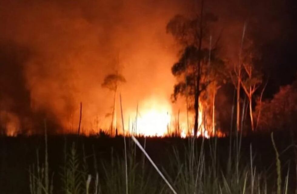 Varias dotaciones de bomberos extinguieron focos en Azara y Corpus