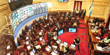 Cámara del Senado. (Foto: Clarín)