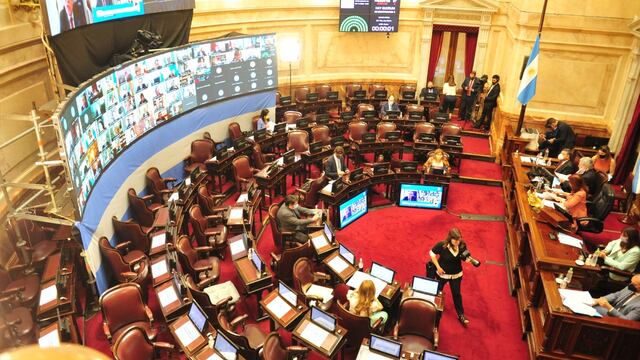 Cámara del Senado. (Foto: Clarín)