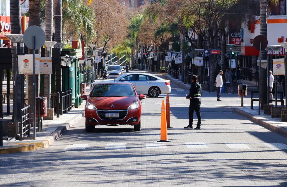 Chochó contra un poste de luz en Carlos Paz