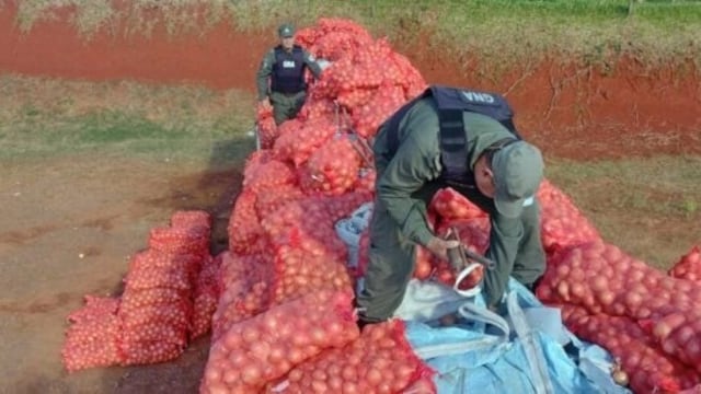 San Vicente: decomisan 29 toneladas de cobre ocultas en una carga de cebollas.