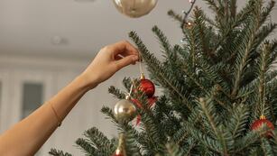 Qué pasa si no se armó el 8 de diciembre.