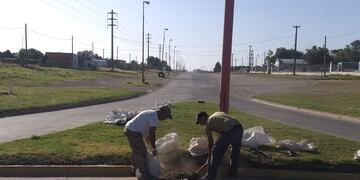 Informe semanal de los trabajos de Higiene Urbana en Tres Arroyos