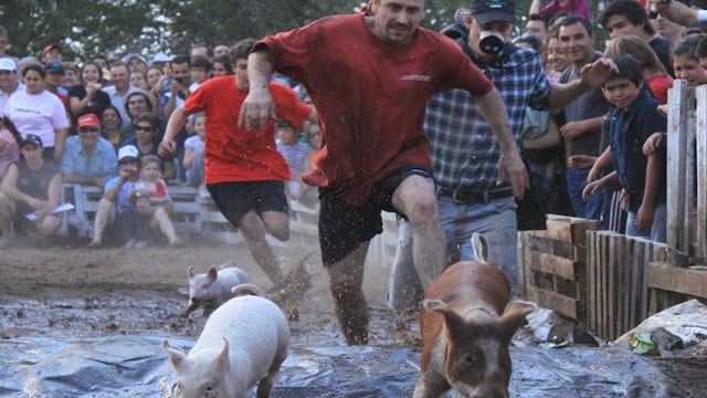 Piden prohibir los juegos del “chancho enjabonado” y la corrida de gallinas en Malargüe.