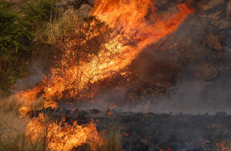 Combaten un voraz incendio en Capilla del Monte