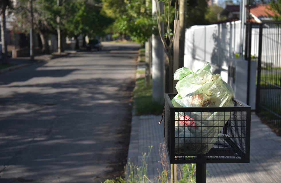 Feriado en Córdoba: cómo funcionarán los servicios el lunes 8 de diciembre