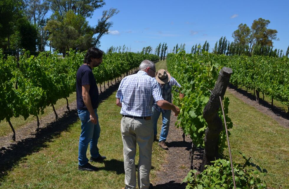 UNER avanza en convenios con vitivinicultores de la región