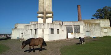 El ex Matadero Municipal, obra de Francisco Salamone