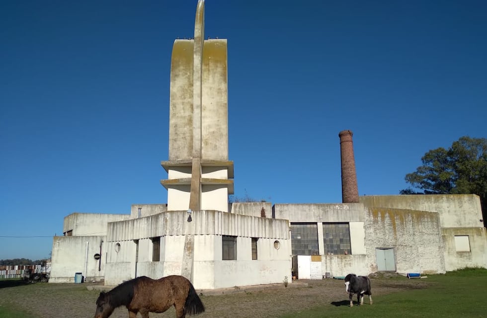 “Orgullo y desidia”: la triste realidad del ex Matadero Municipal
