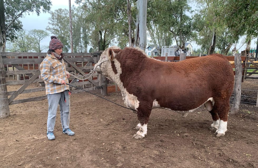 Estudiar Medicina Veterinaria en Gualeguaychú: una carrera gratuita de la UNER