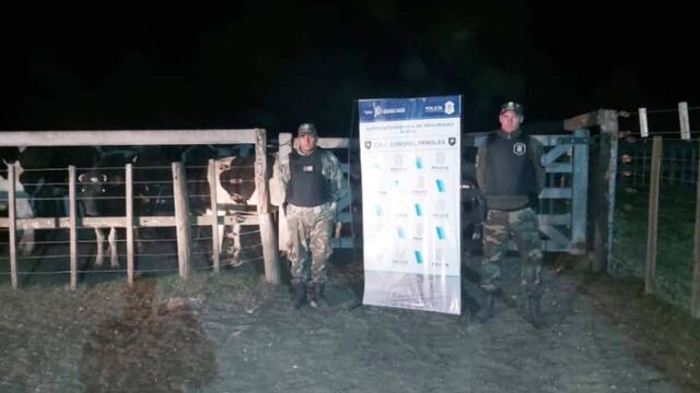 Operativo del CPR de Tres Arroyos por animales sueltos en la vía pública