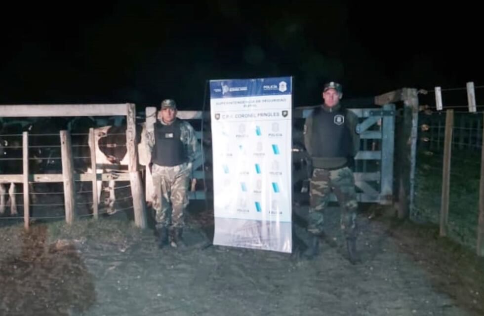 Operativo del CPR de Tres Arroyos por animales sueltos en la vía pública