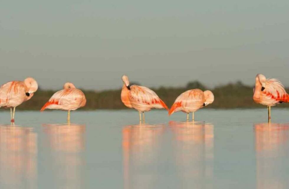 Clima en Ansenuza: cómo estará el tiempo para este martes 27 de abril
