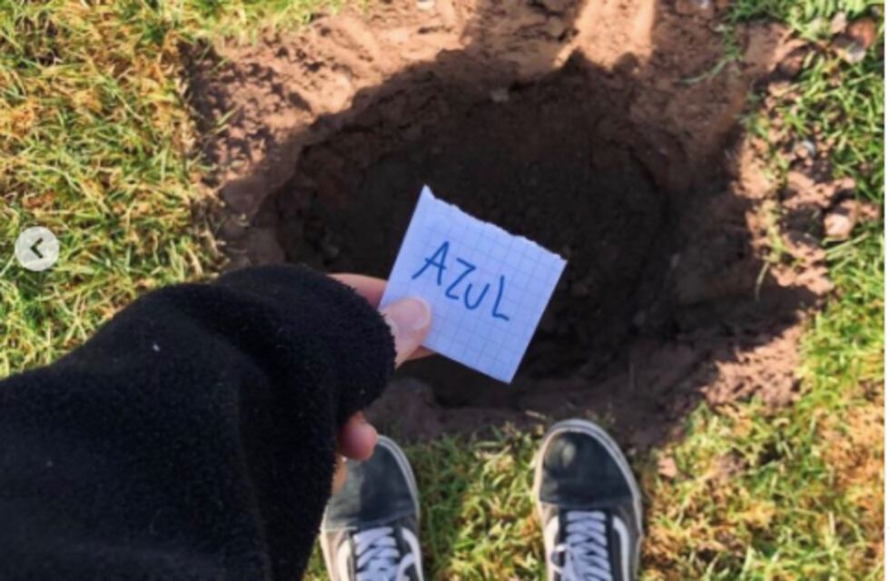 La tierra es Azul: la emocionante iniciativa que busca hacer de Mendoza un bosque