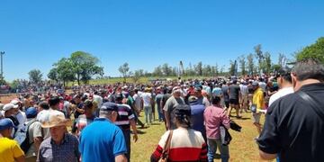 Posadas: dos caballos fallecieron durante un evento de carreras.