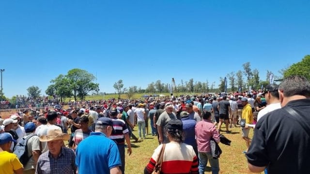 Posadas: dos caballos fallecieron durante un evento de carreras.