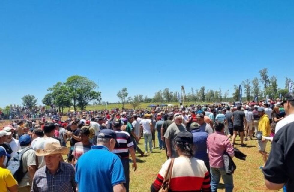 Posadas: dos caballos fallecieron durante un evento de carreras