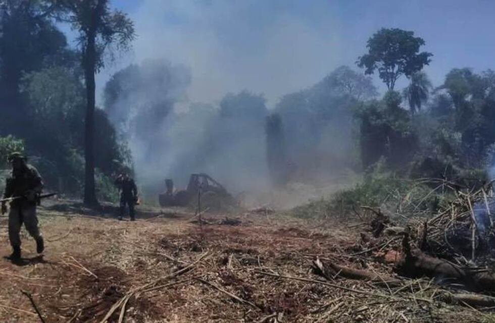 La llegada de lluvia mejora la situación de los incendios en la Reserva Yabotí