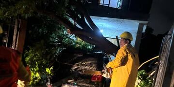 El temporal provocó más de 40 intervenciones en Catamarca, por caída de árboles y postes.