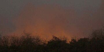 De nuevo hay fuego en la Reserva Ecológica. Foto: DyN.