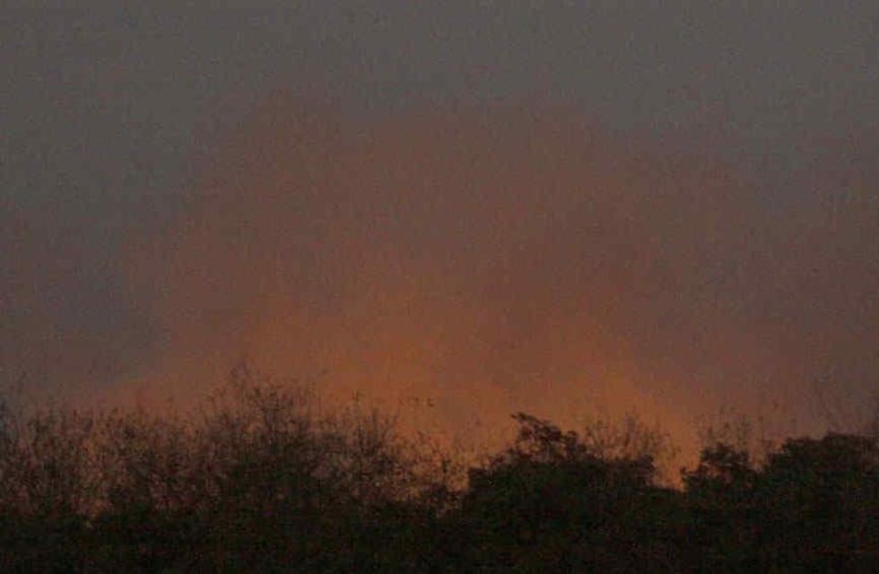 Otra vez, el fuego arrasó parte de la Reserva Ecológica en la Costanera Sur